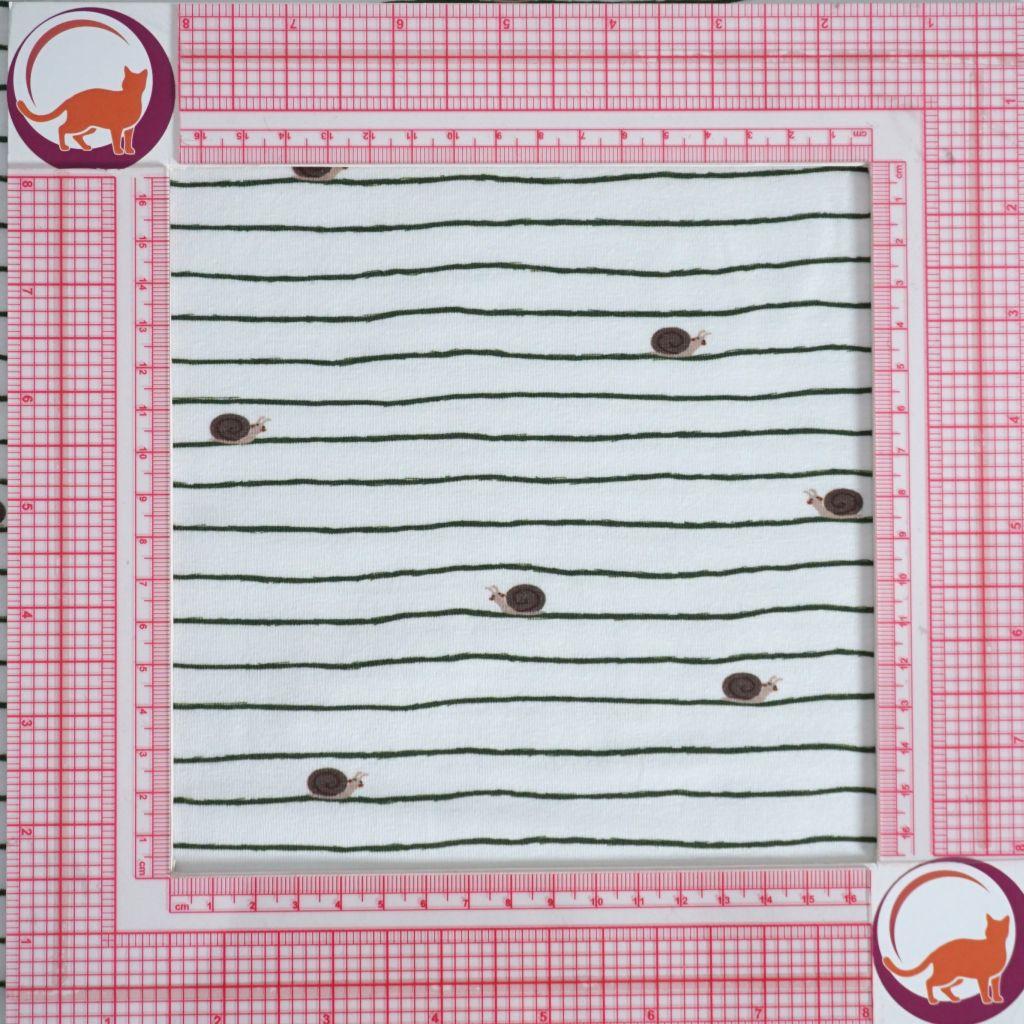 Baumwolljersey Schnecke grün ecru